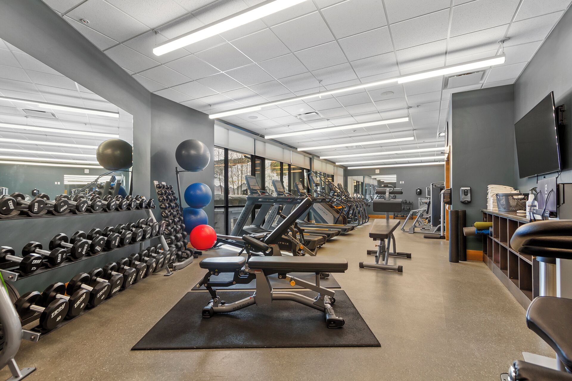 A gym with treadmills, dumbbells, and exercise balls.