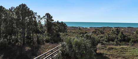 コンドミニアム ベッド (複数台) (Club at Cape San Blas 2B) | その他