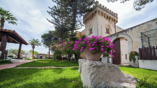 Un pati amb una banca de pedra, una planta gran en test amb flors roses, i un edifici amb una torre.