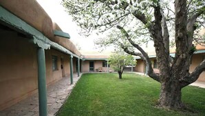 Un patio con un árbol, un corredor cubierto y un edificio de techo plano.