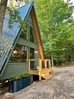 Exterior - Linden A Frame Cabin (Rossville)