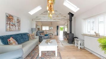 智能电视、壁炉