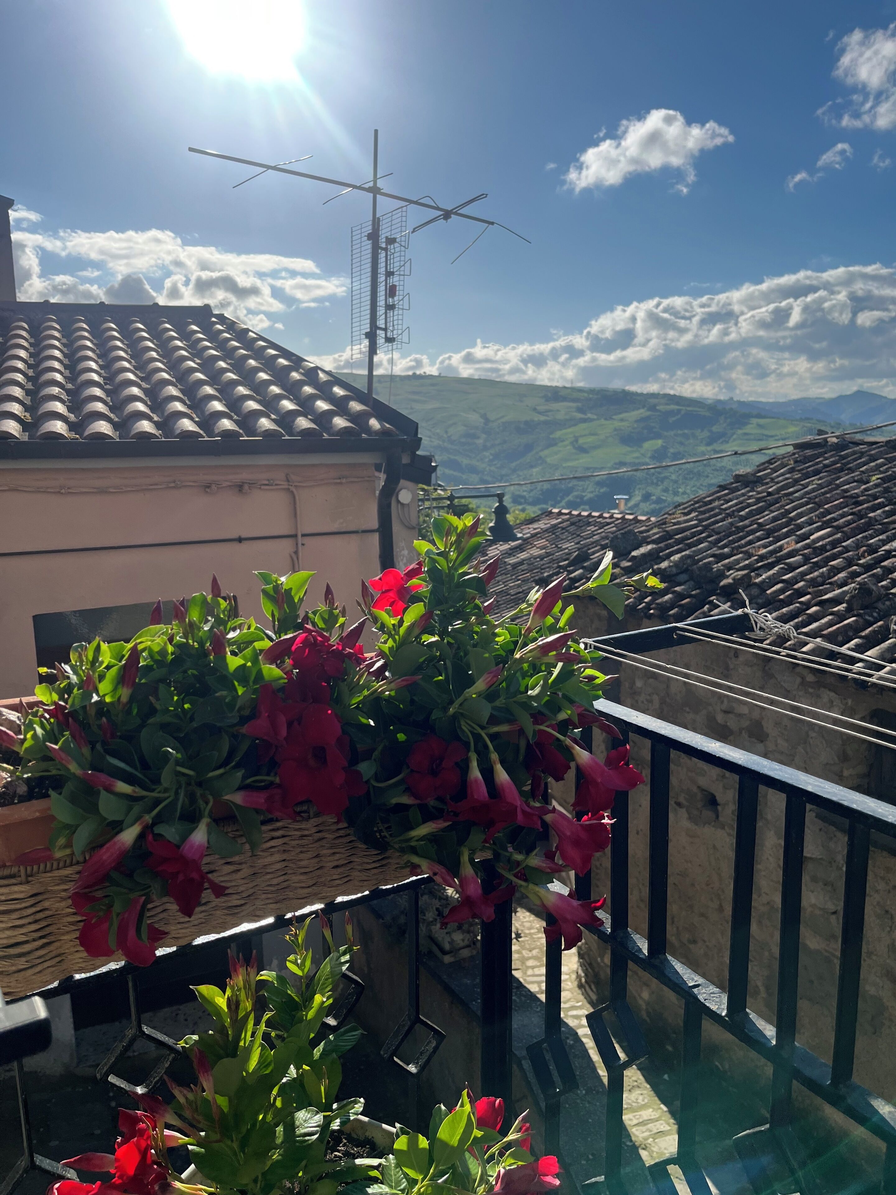 A rooftop terrace with a view of the countryside, a satellite dish, and potted plants.