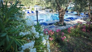 Ein Poolbereich mit blauen Liegestühlen, einer Laterne und blühenden Pflanzen.