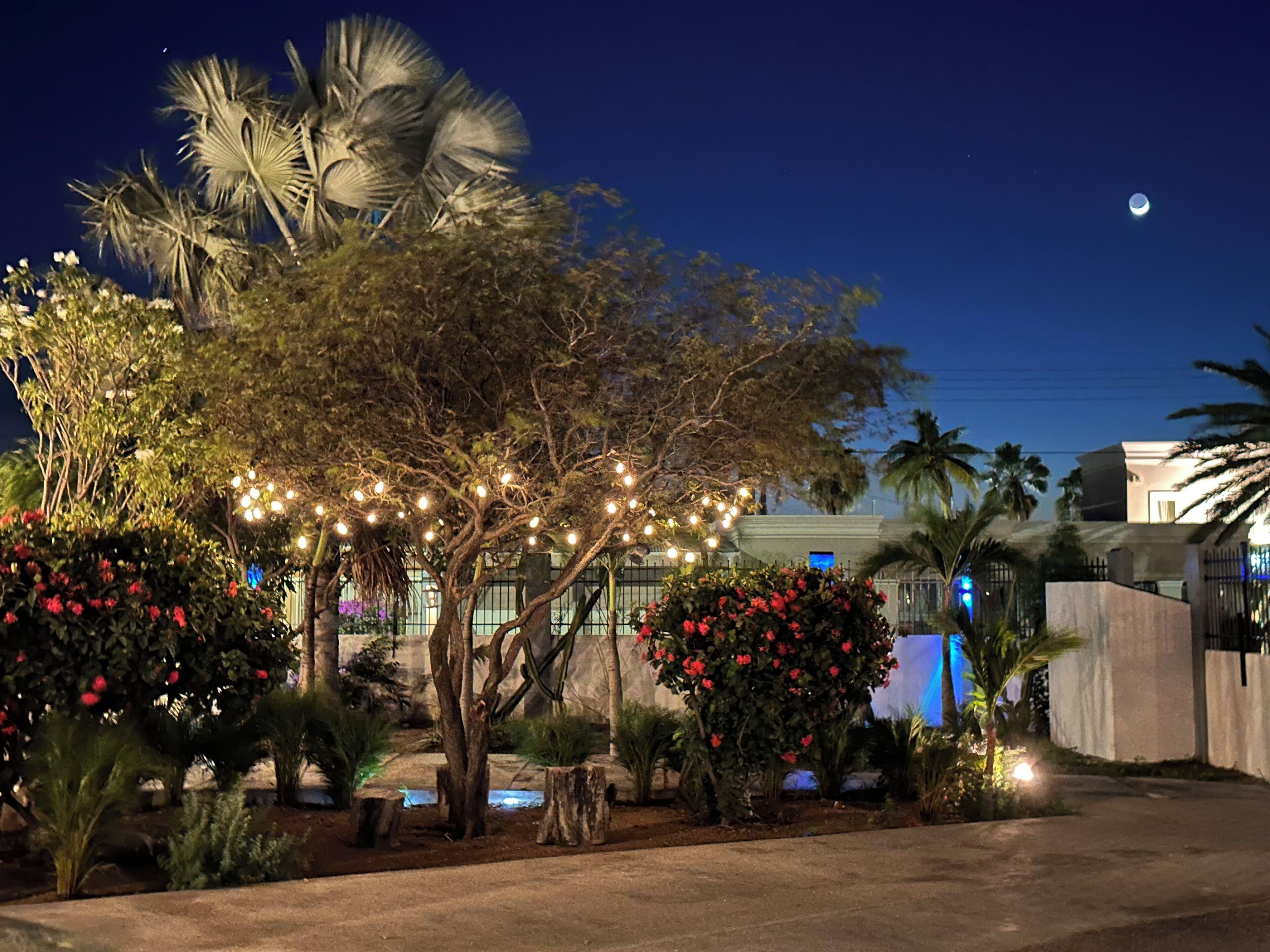 Parco della struttura