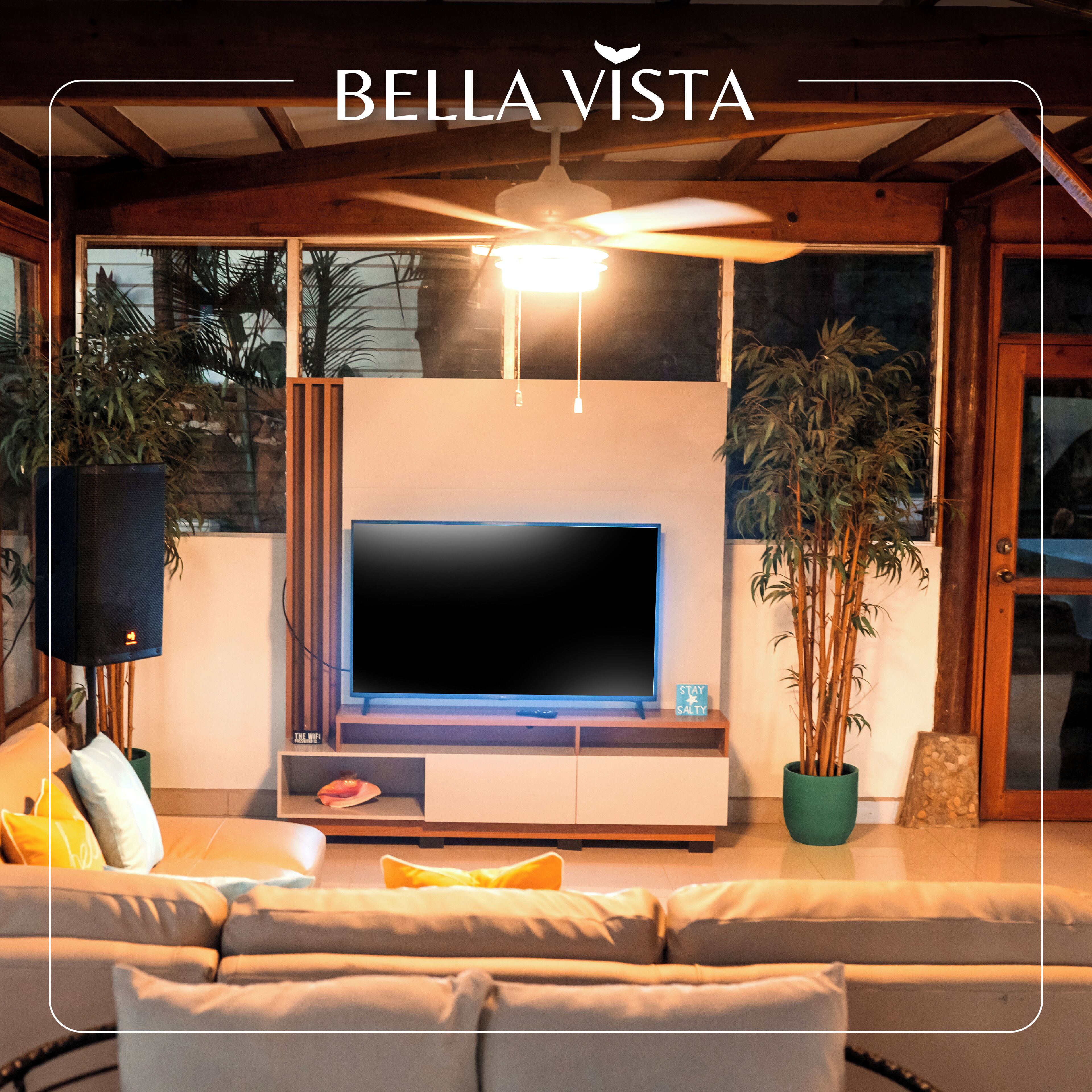 Smart TV y monitor de computadora 