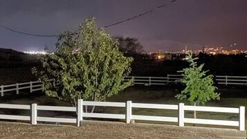 المنطقة المحيطة بالمنشأة