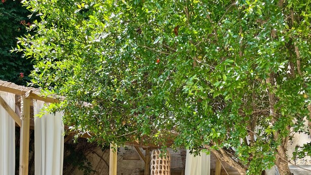 A wooden deck with a bed and a hanging light fixture. - Ideal for friends: "La Belle Dame sans Regrets" with swimming pool, garden & workshop  (Talairan)