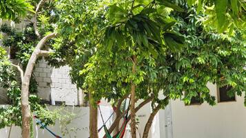 Enceinte de lâhĂ©bergement