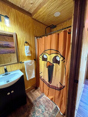 Dusche, Haartrockner, Handtücher