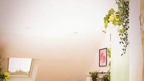 A kitchen with wooden flooring, green cabinets, a skylight, and a window. - Magnificent Festive Loft (Saint-Pourçain-sur-Sioule)