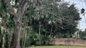 A paved pathway leading to a brick wall with a grassy area and trees in the background. - Serene Getaway – Quiet Oasis with Pool & Rain Showers (Harlingen)