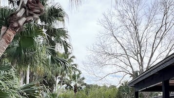 室外泳池、暖水池