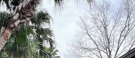 Piscina all'aperto, una piscina riscaldata