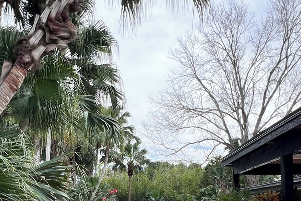 Una piscina al aire libre, una piscina climatizada