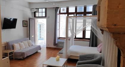 Gites du Vieux Moulin XXL duplex at the foot of Périgueux Cathedral