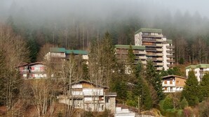 Un immeuble à plusieurs étages doté de balcons, entouré d’arbres et enveloppé de brume.