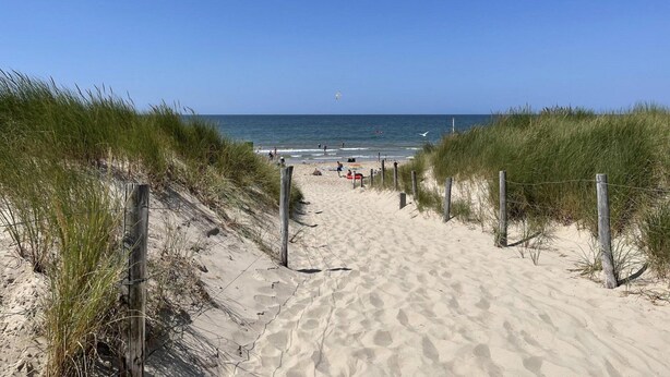 A sandy beach path leading to the ocean, flanked by grassy dunes and a wooden fence.