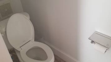 Secador de cabelo, toalhas de banho, sabonete, papel higiênico