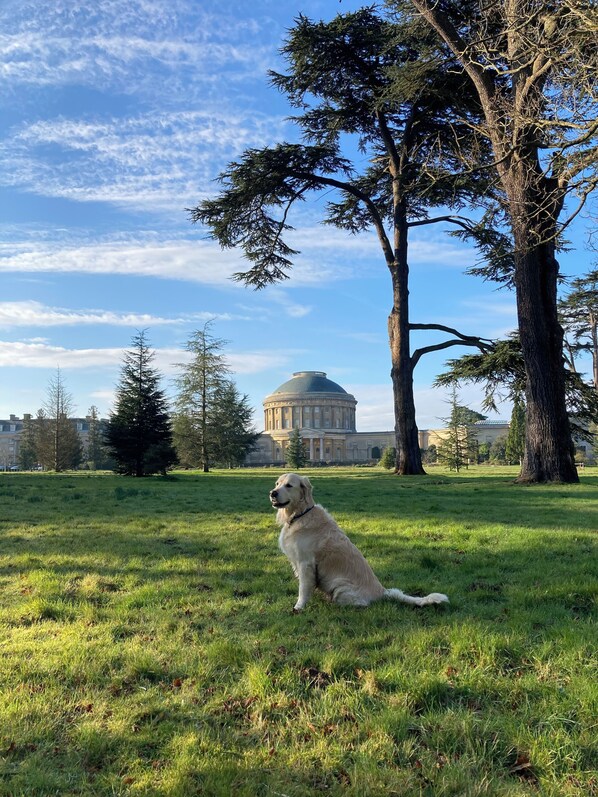 Overnattingsstedets uteområder