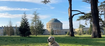 Studio Apartment bordering the Ickworth Estate, Pet-Friendly, 5 minutes to Bury!