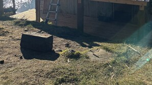A metal-roofed structure with a wooden deck, a ladder, and a large rock in a grassy area.