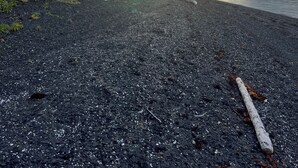 A pebbled beach with a sunset in the background, trees on the left, and a mountain on the right.