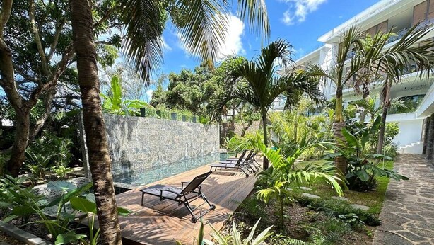 An outdoor seating area with wooden tables and chairs, surrounded by tropical plants and a stone wall.