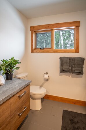 吹风机、毛巾、肥皂、洗发水