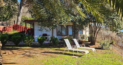 Mid Century Guesthouse with Lake View!