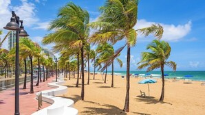 A beach with palm trees, a curved walkway, and a view of the ocean.