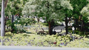 A park with trees and benches. - HOTEL CALLE 8 (Tuxtla Gutierrez)