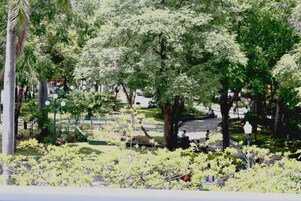 Vistas desde el alojamiento