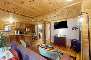 Télévision, cheminée, livres