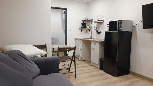 A compact living space with a sofa, a dining table, a kitchen area including a refrigerator and a microwave, and a small TV mounted on the wall.