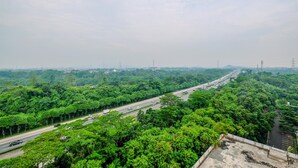 Autopista rodeada de un denso bosque verde.