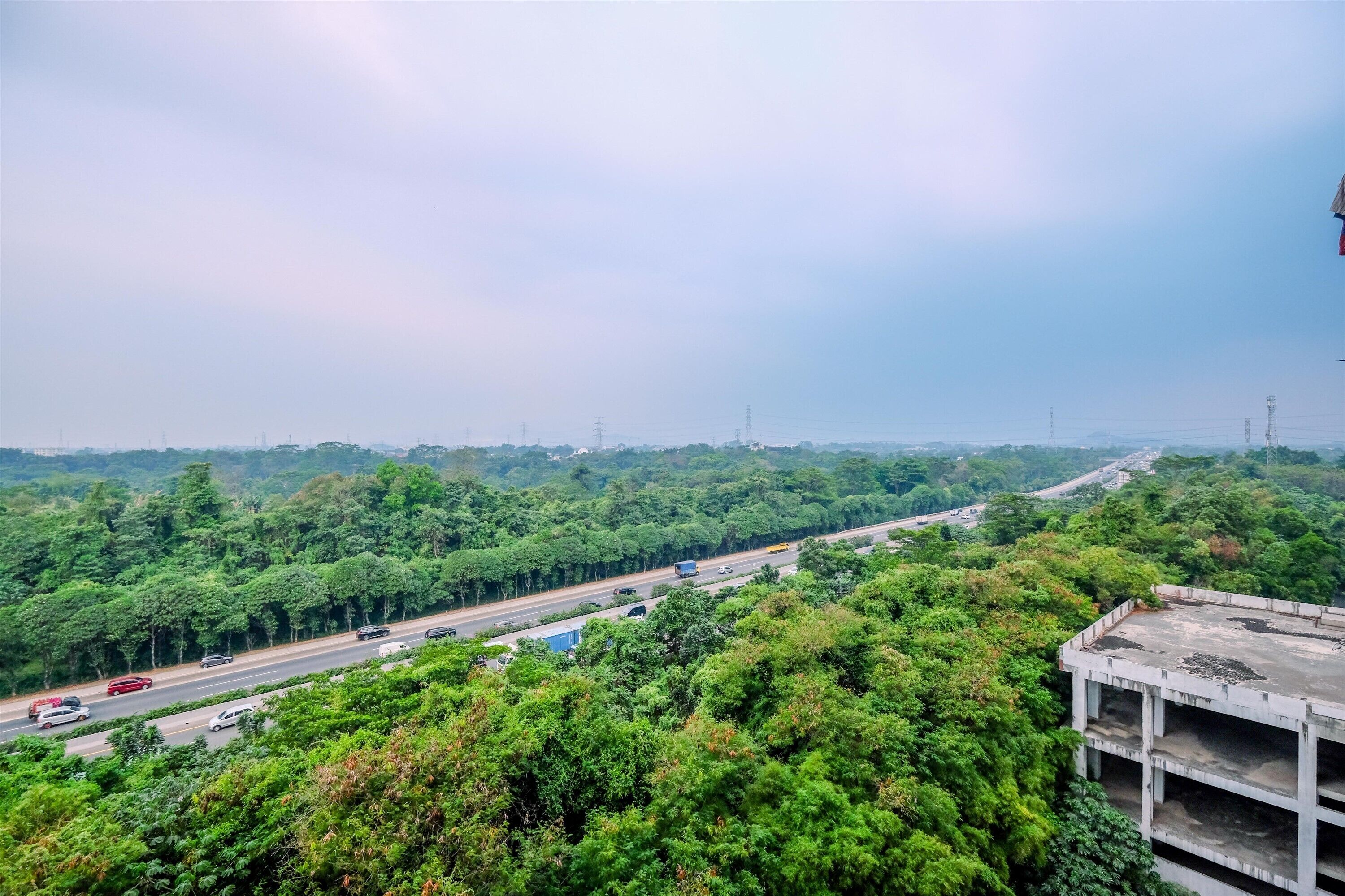 Una autopista con vehículos, rodeada de un denso bosque verde y una gran estructura de hormigón.