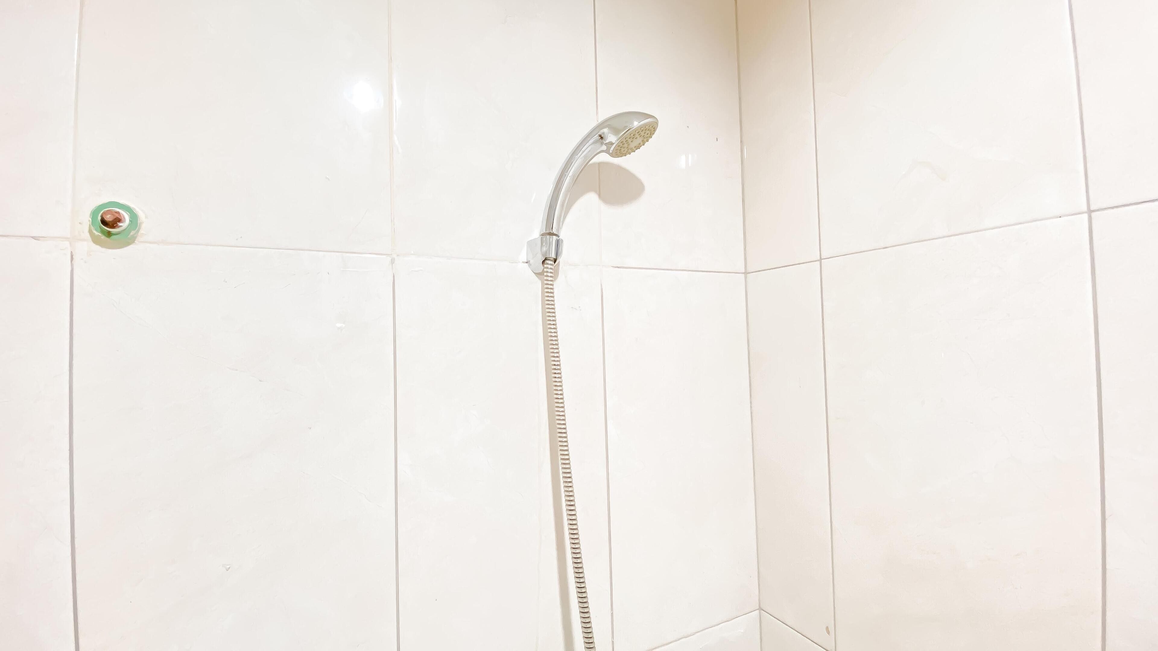 A shower with a handheld showerhead and a hose.