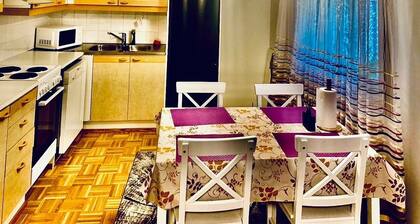 Charming cottage with WiFi and AC in welcoming Rovaniemi