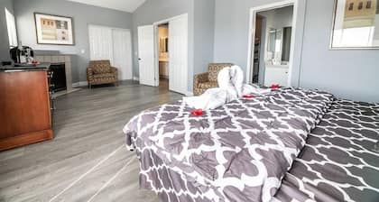 Star Trip Vegas Style All you need right here