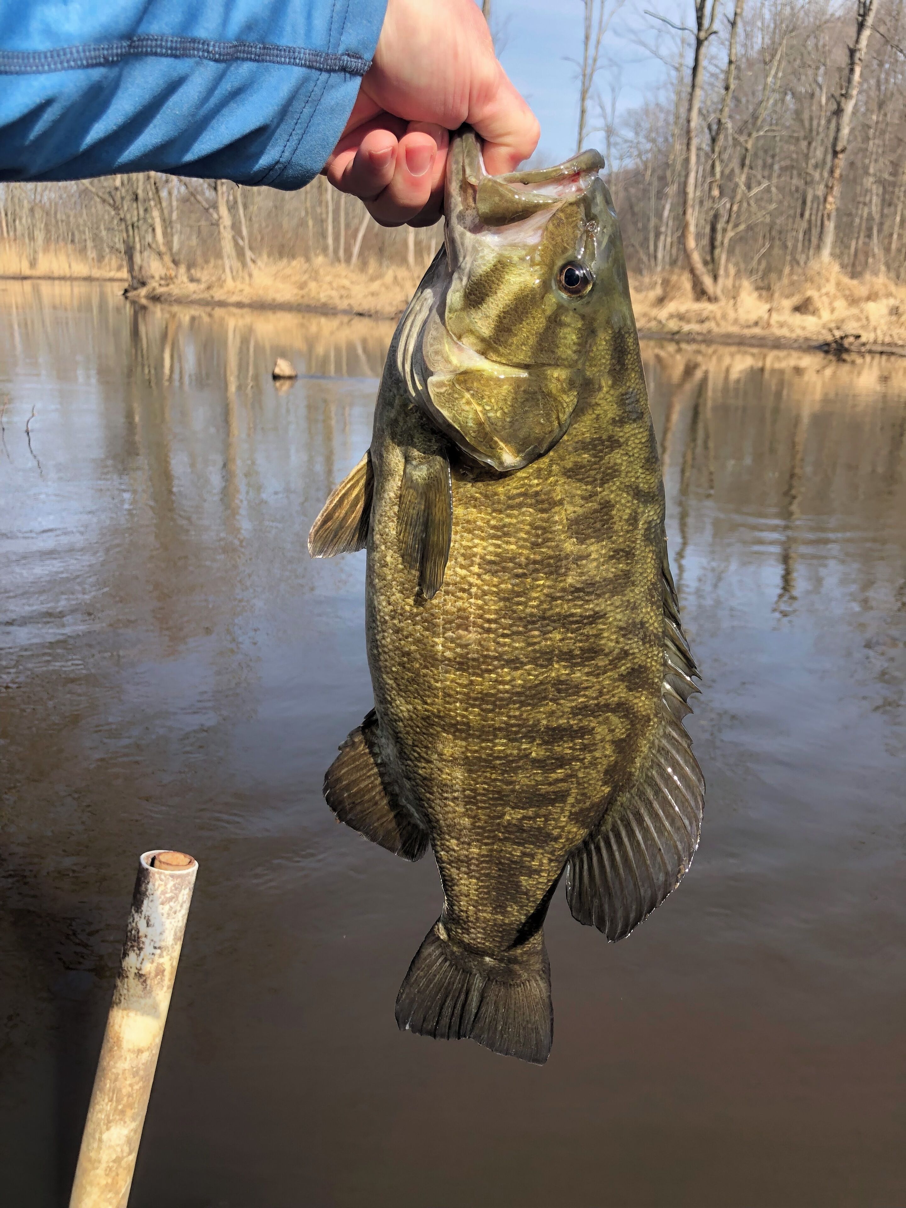 Une personne tenant un poisson par la bouche, avec un plan d’eau calme et des arbres en arrière-plan.