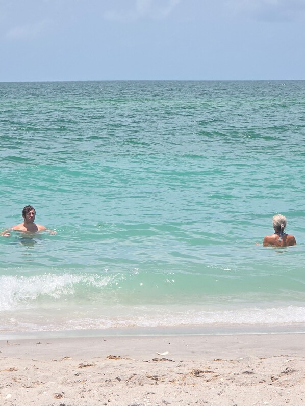 Beach - Paradise Home!! with your own private sanctuary. .3-bedroom house! (Venice)