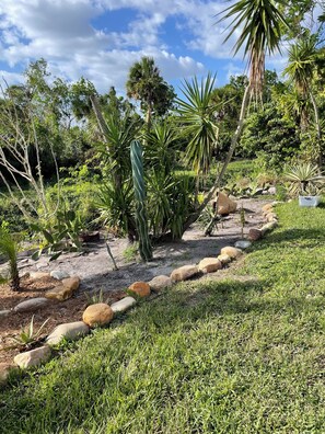 Property grounds - Paradise Home!! with your own private sanctuary. .3-bedroom house! (Venice)