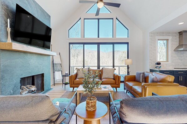 TV, fireplace, table tennis, books