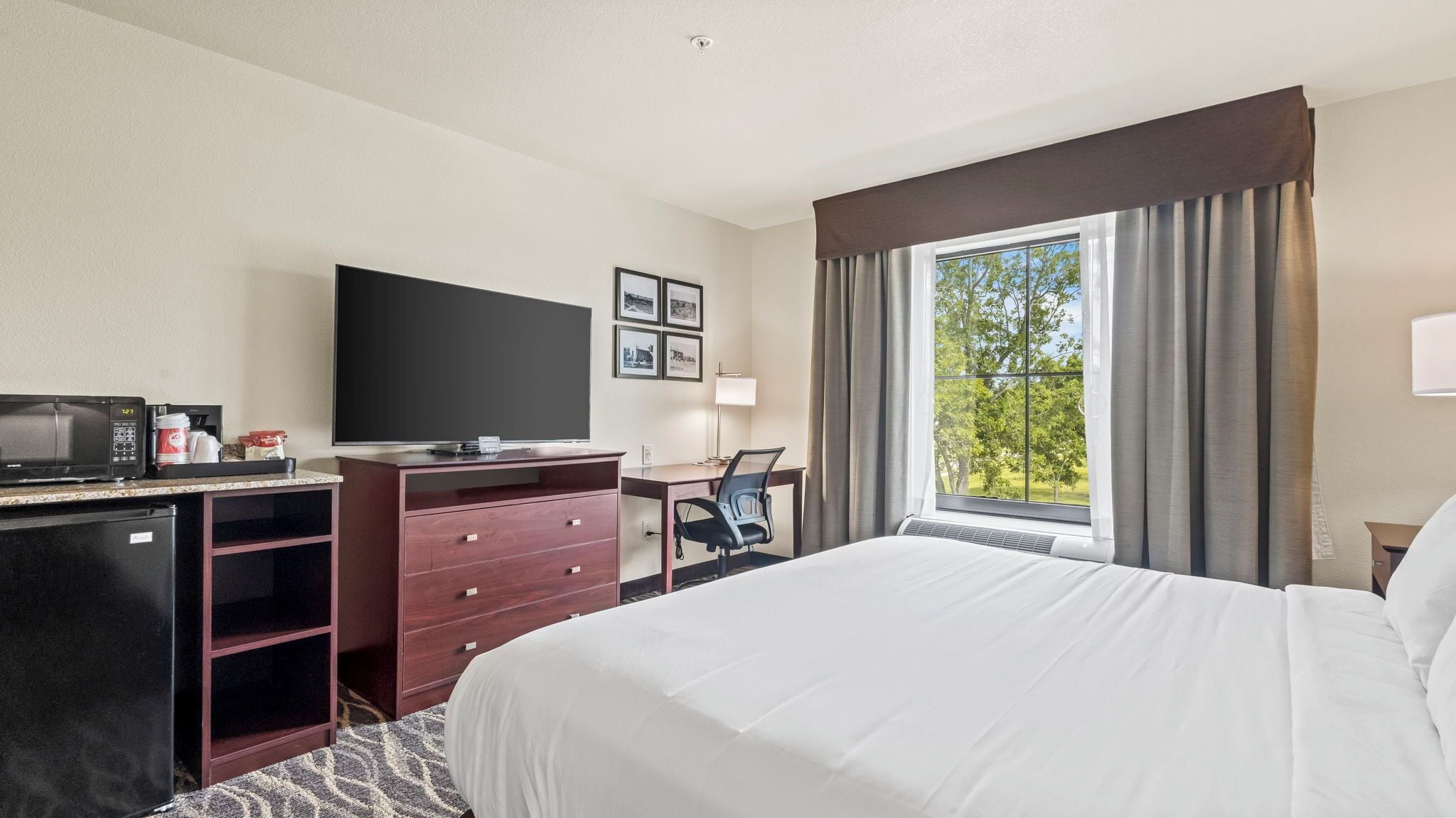A hotel room with a bed, a desk with a chair, a television, a microwave, and a refrigerator.
