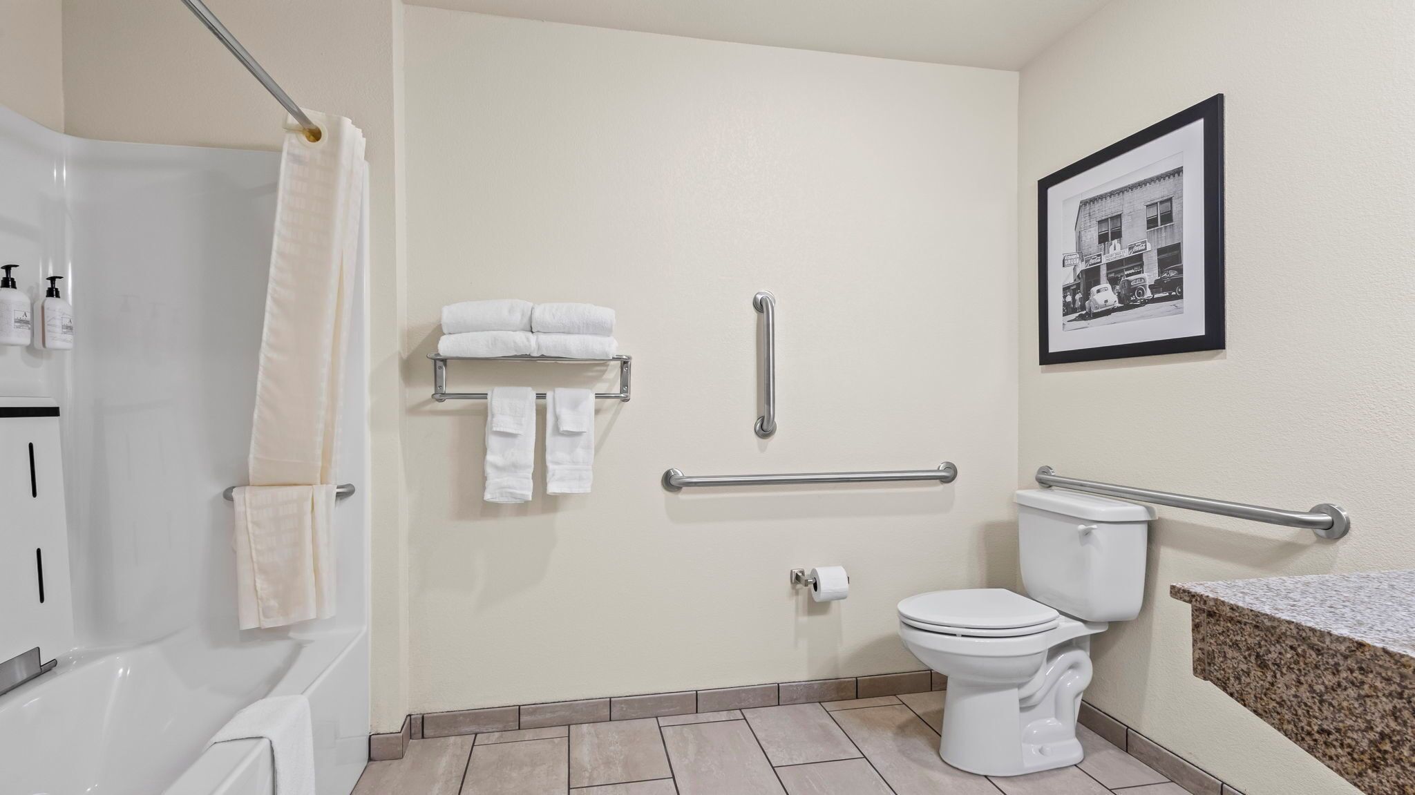 A modern bathroom with a toilet, grab bars, a shower, and a towel rack.