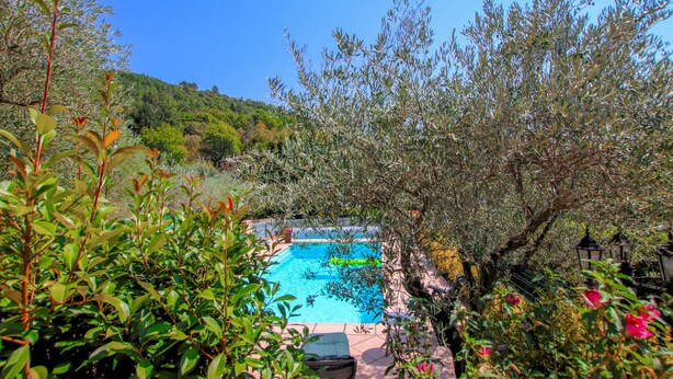 A swimming pool surrounded by lush greenery and a hillside in the background. - Lovely home in Chassiers (Chassiers)