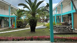 A courtyard with a palm tree, a picnic table, and a covered seating area.