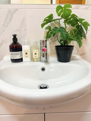 Hair dryer, towels, soap, toilet paper