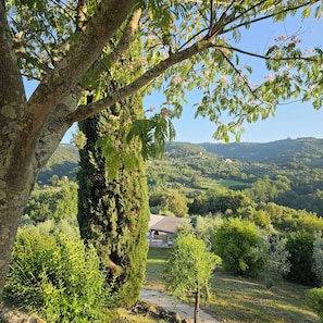 Surrounded by lush greenery, this serene landscape features a picturesque tree, well-manicured garden, and rolling hills.